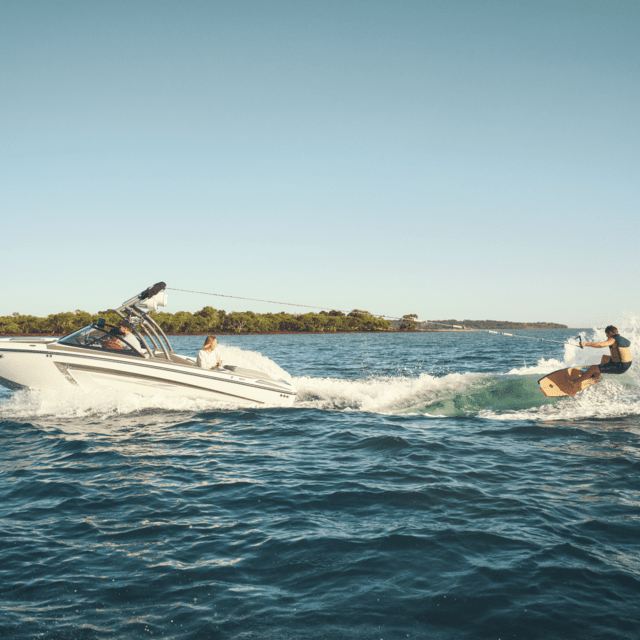 Dometic Optimus E-Actuator