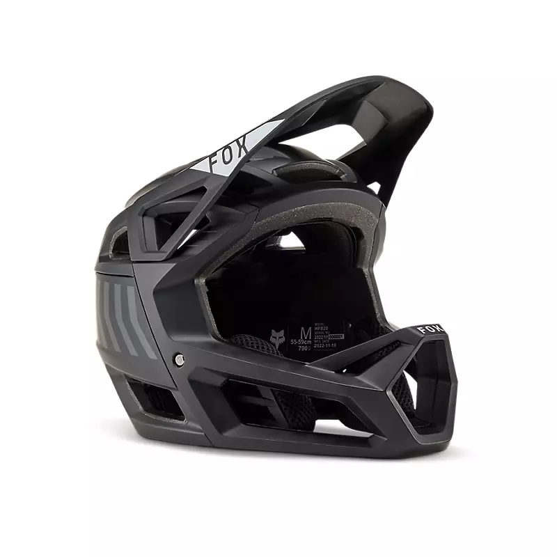 Proframe Helmet