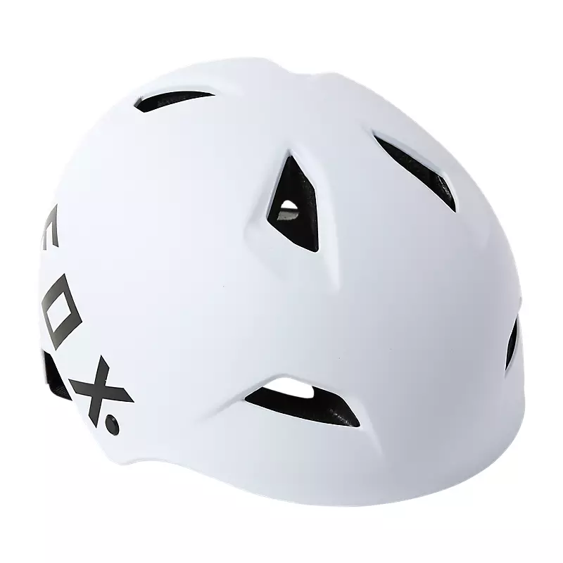Flight Helmet