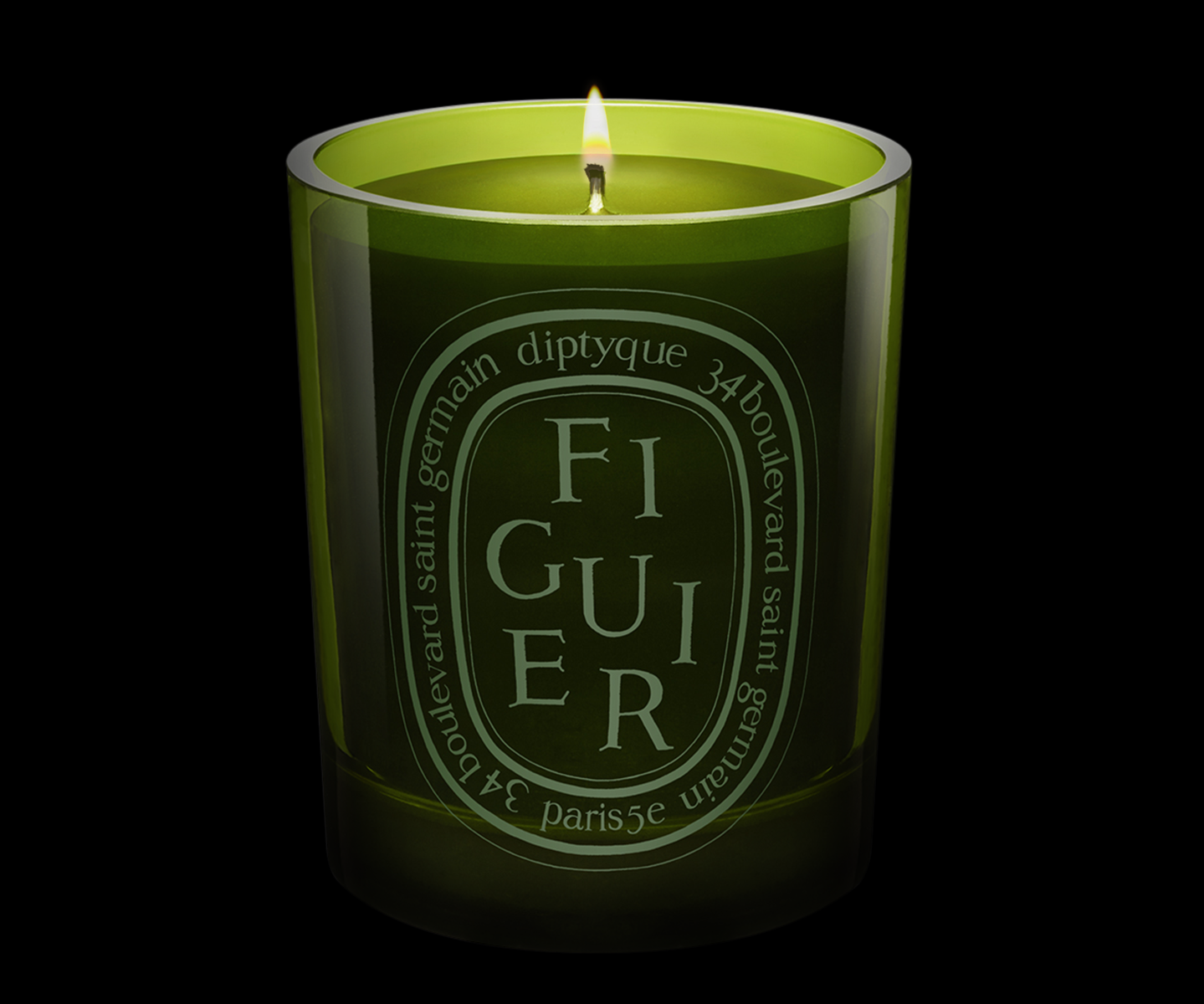 Figuier (Fig Tree) - Medium Candle
