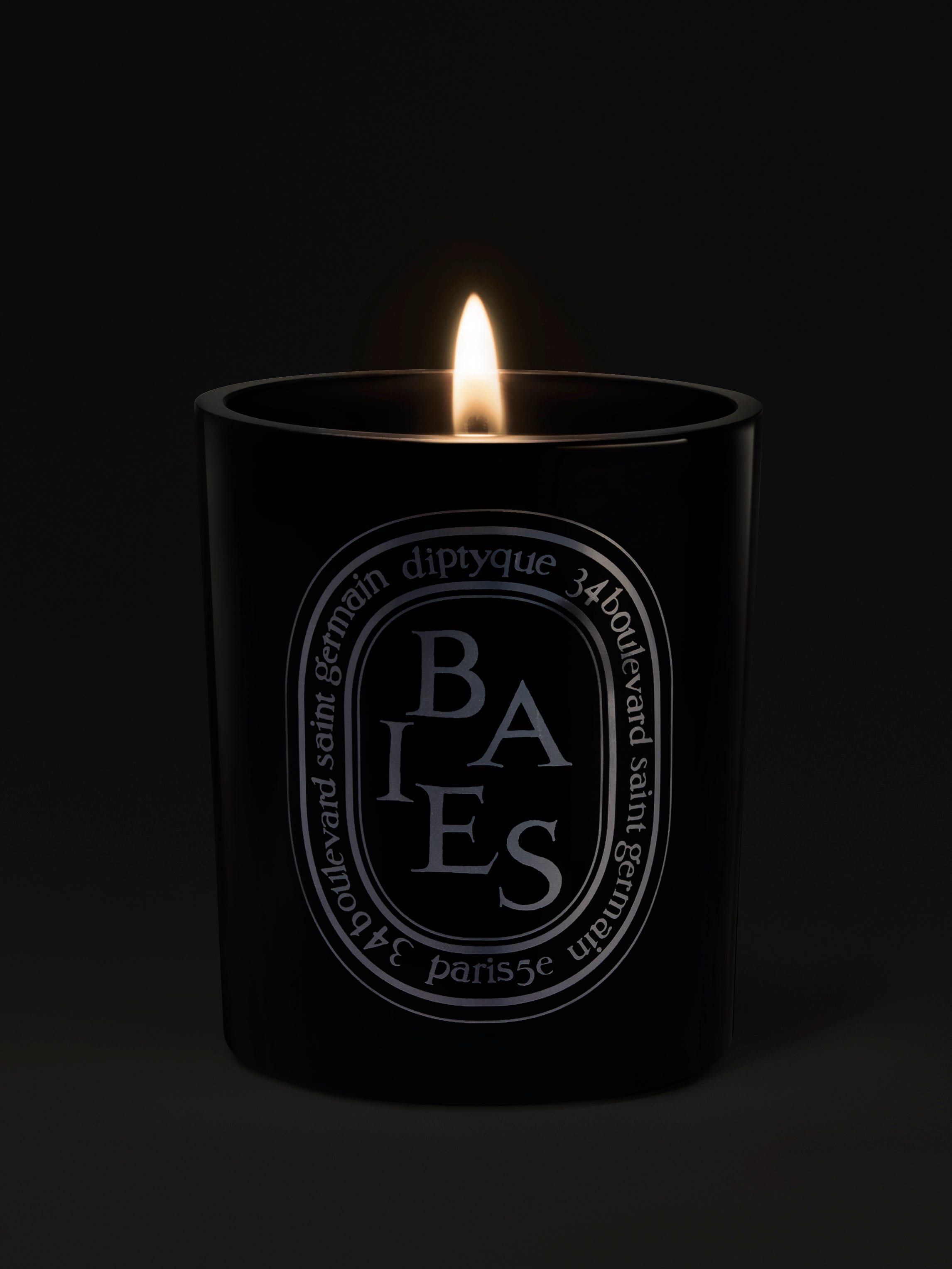 Baies (Berries) - Medium Candle