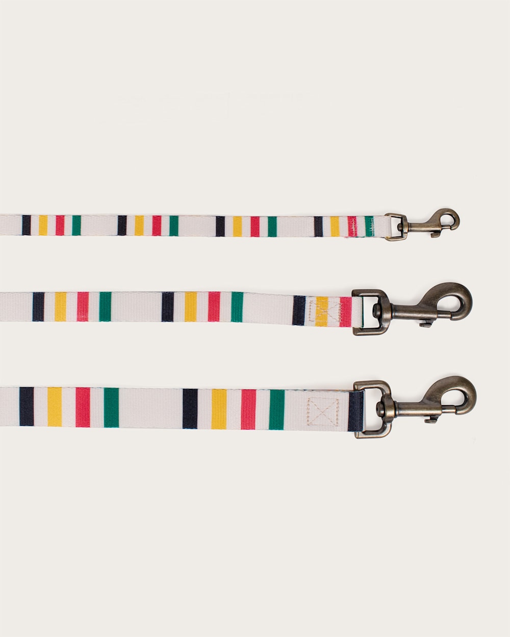 GLACIER NATIONAL PARK ADVENTURE LEASH