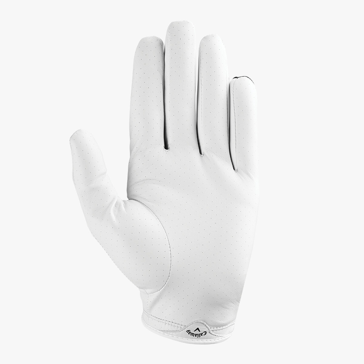 X-Spann 2019 Glove