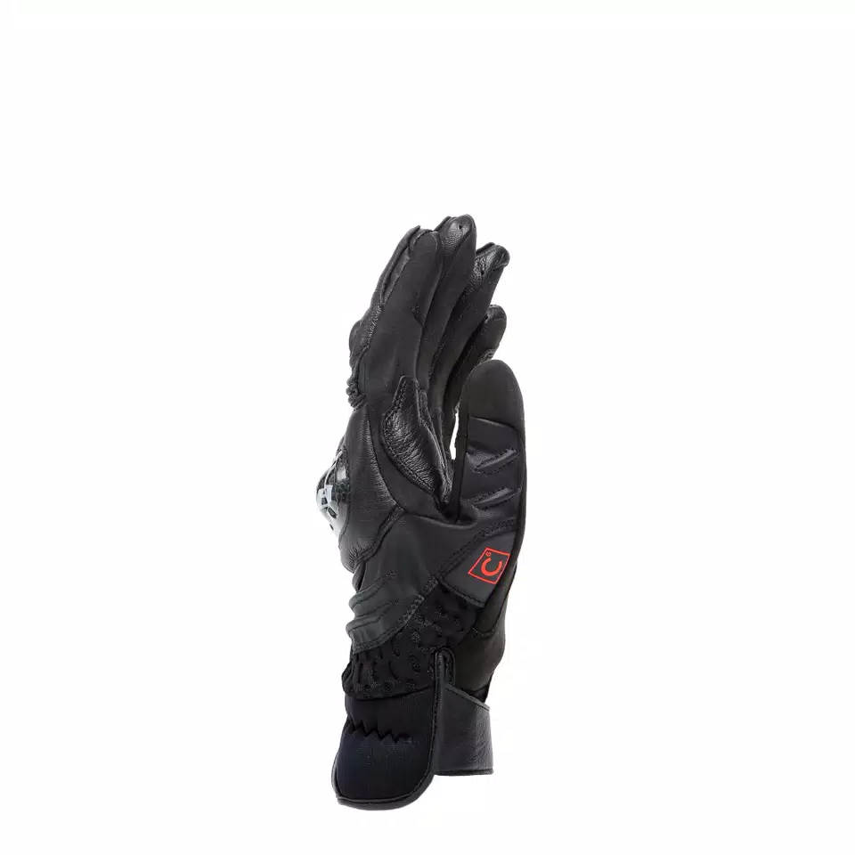 CARBON 4 - MEN'S MOTORCYCLE SHORT LEATHER GLOVES - DAINESE