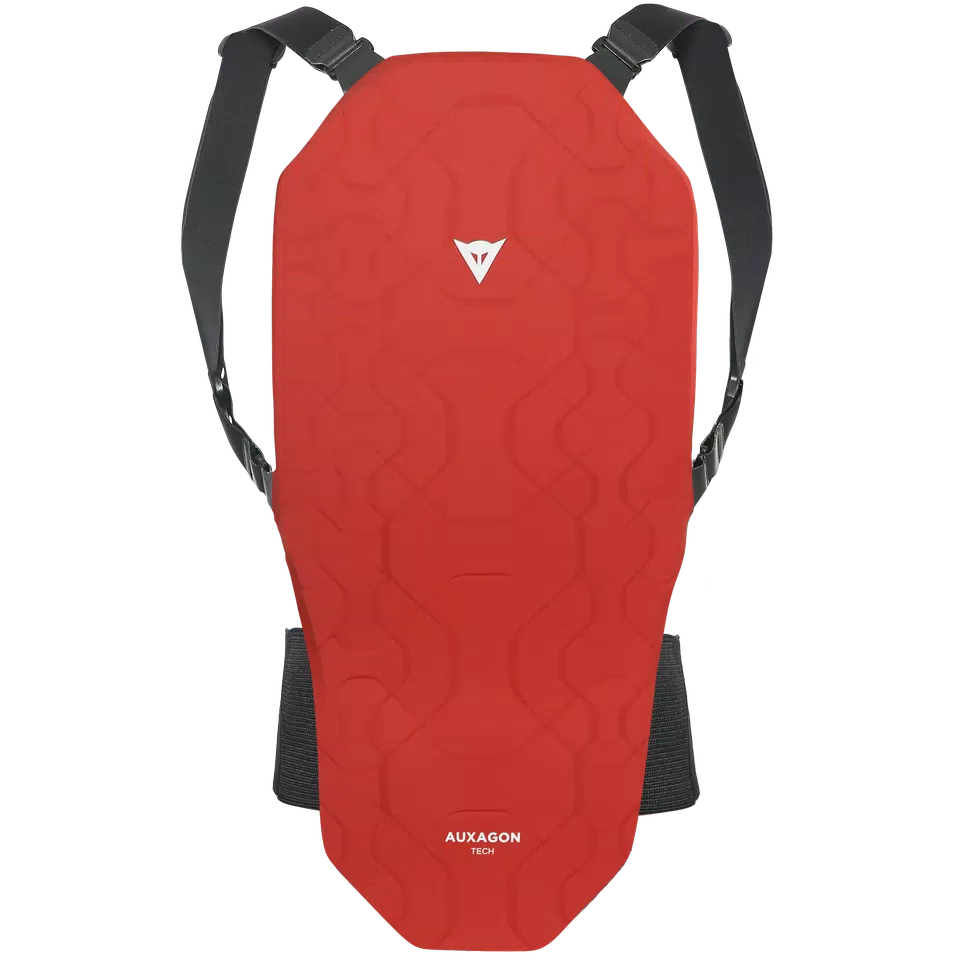 AUXAGON 2 SKI BACK PROTECTOR - DAINESE