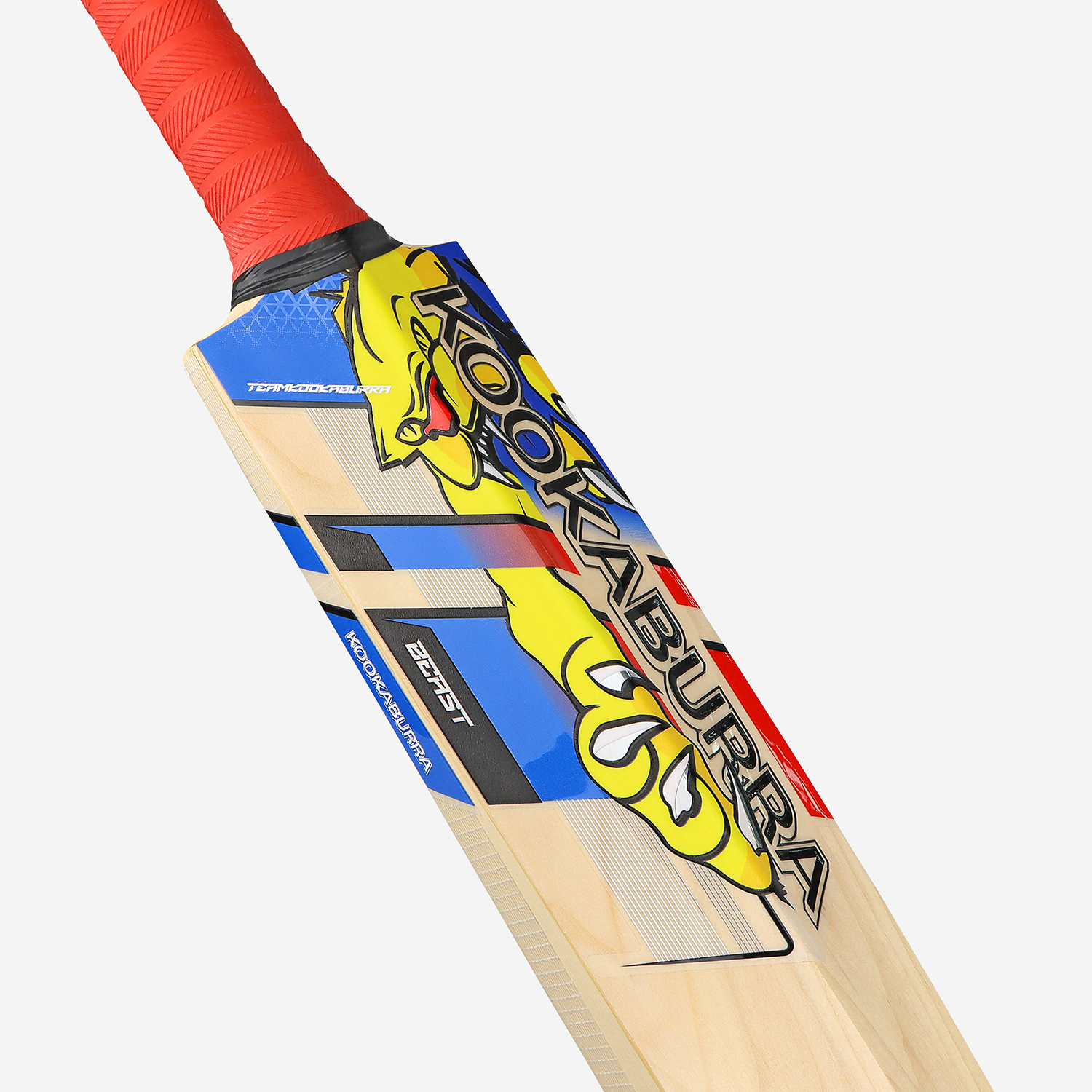 BEAST PRO 6.0 SENIOR CRICKET BAT