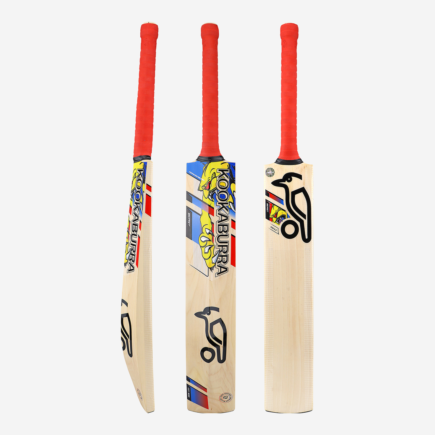 BEAST PRO 6.0 SENIOR CRICKET BAT