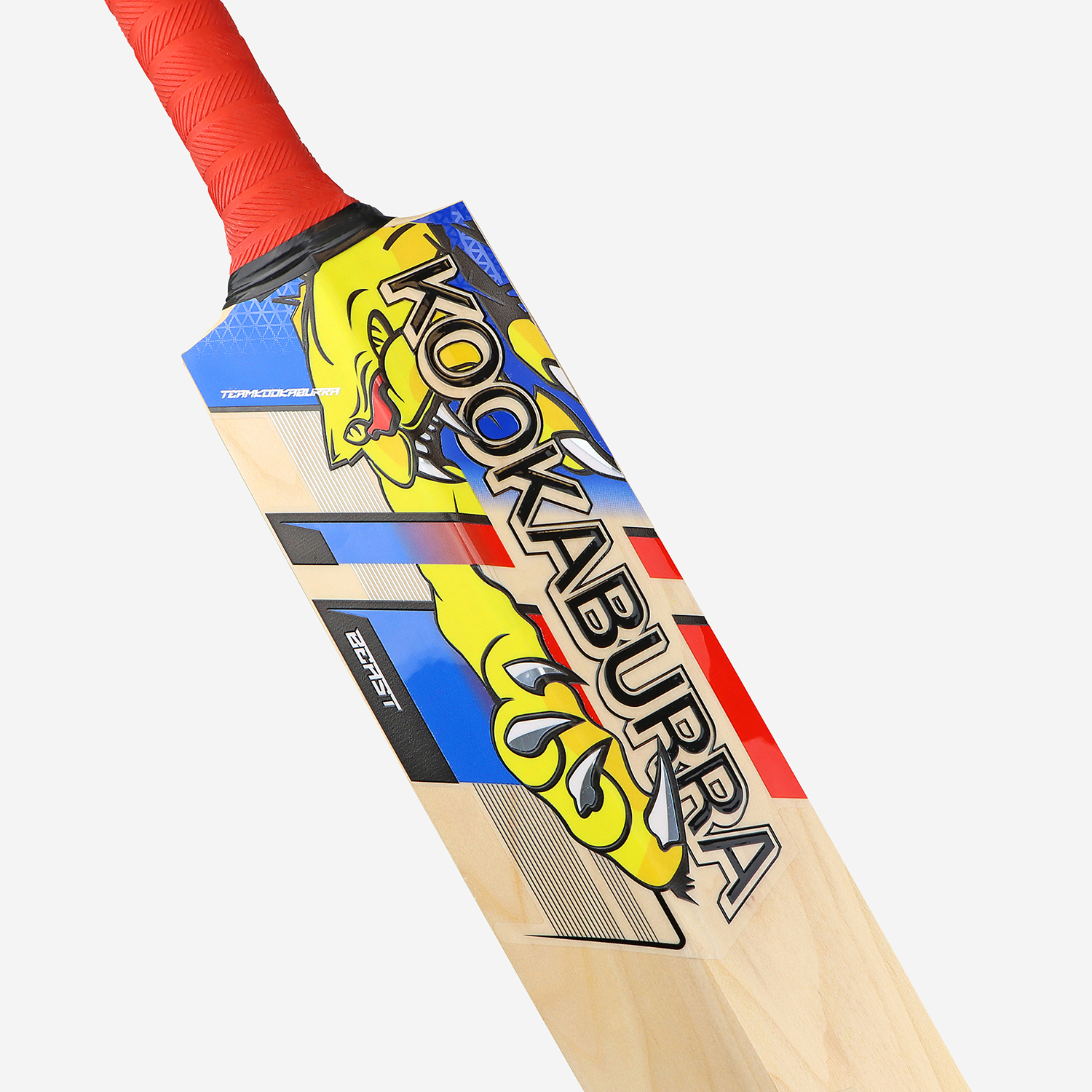 BEAST PRO 6.0 JUNIOR CRICKET BAT