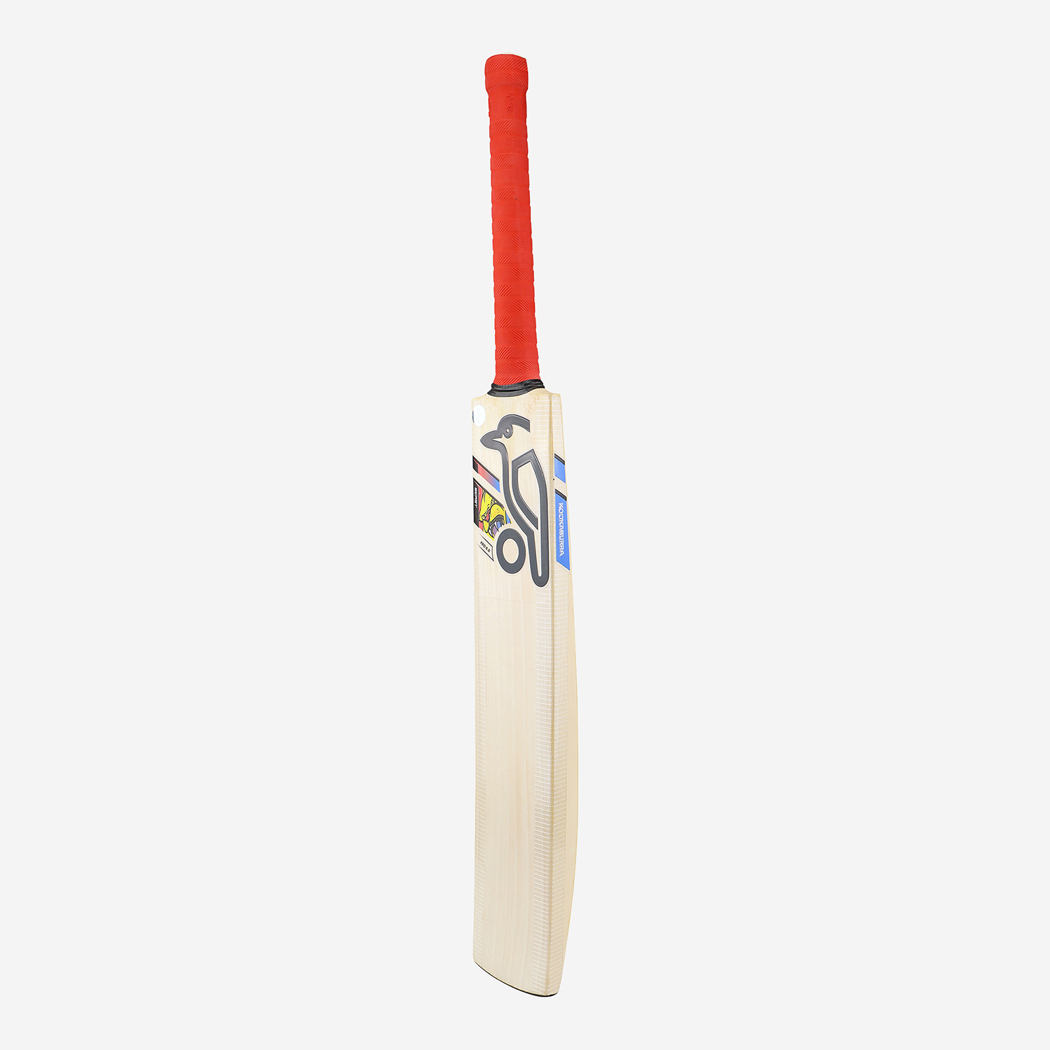 BEAST PRO 6.0 JUNIOR CRICKET BAT
