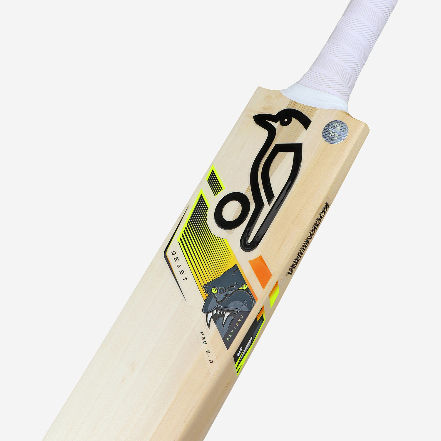 Pro 2.0 Beast Junior Cricket Bat