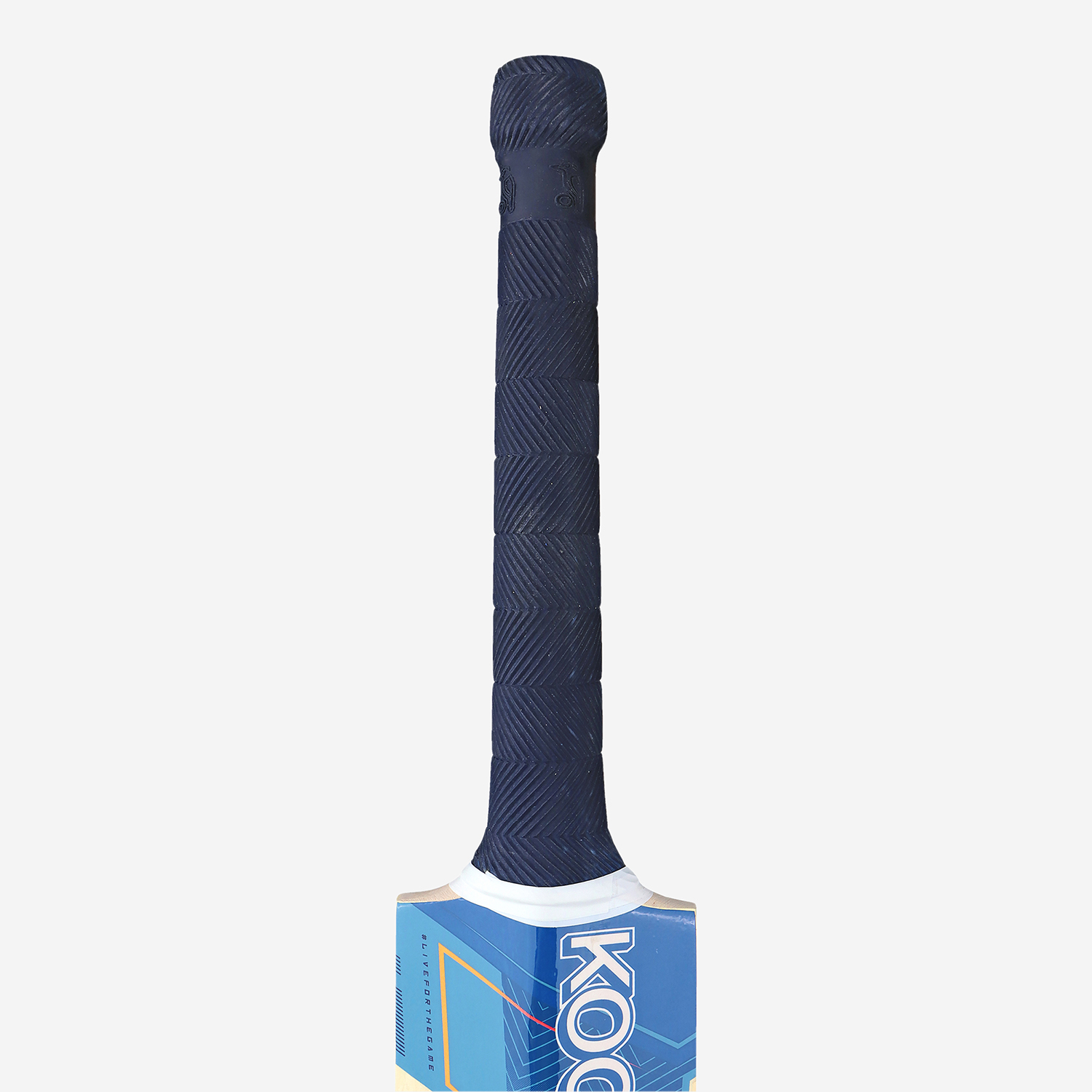 Pro 9.0 Empower Kashmir Junior Cricket Bat