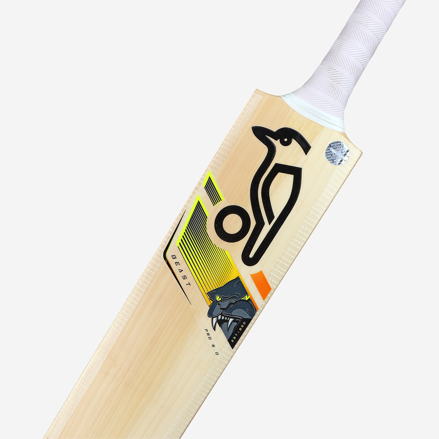 Pro 6.0 Beast Junior Cricket Bat