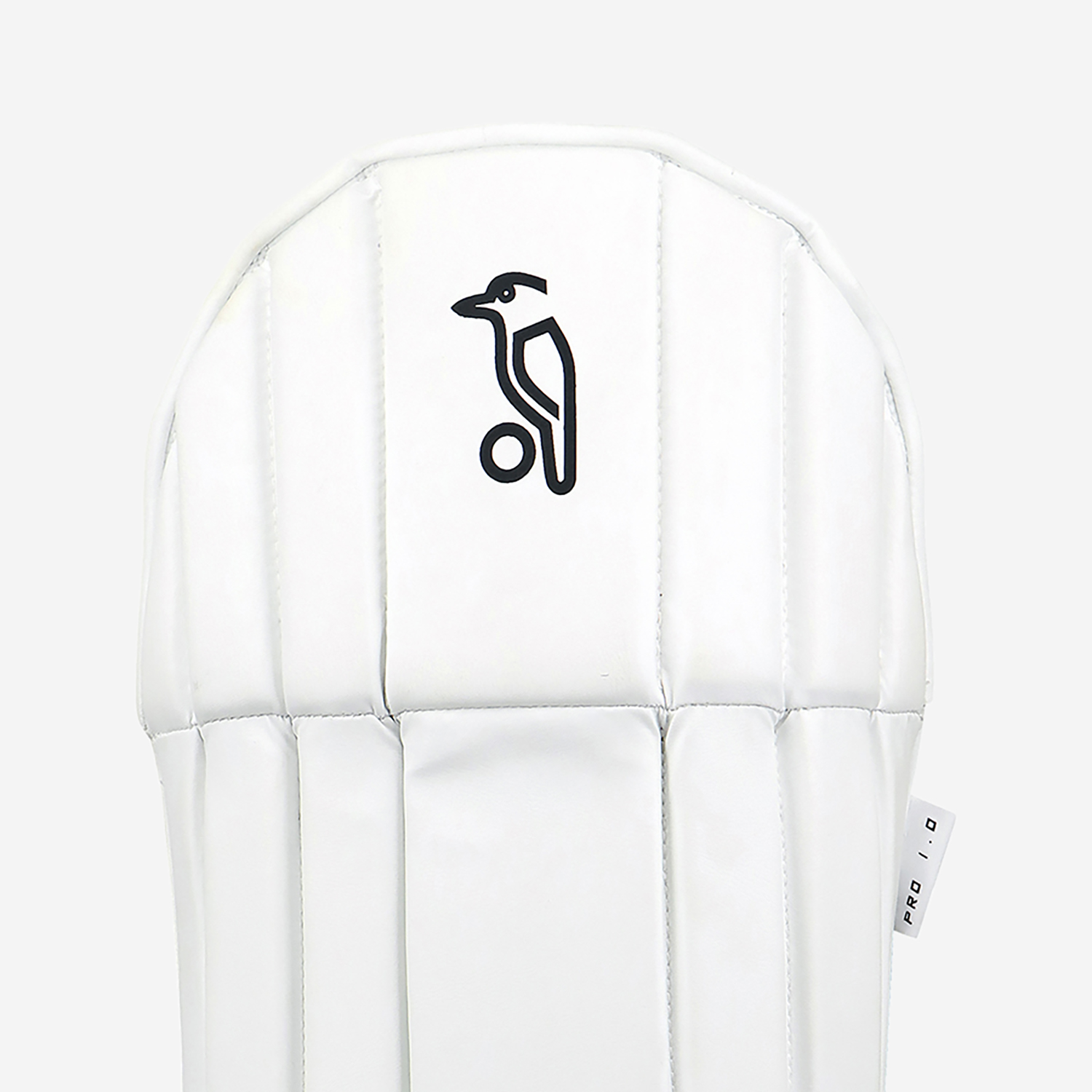 Pro 1.0 Wicket Keeping Pads