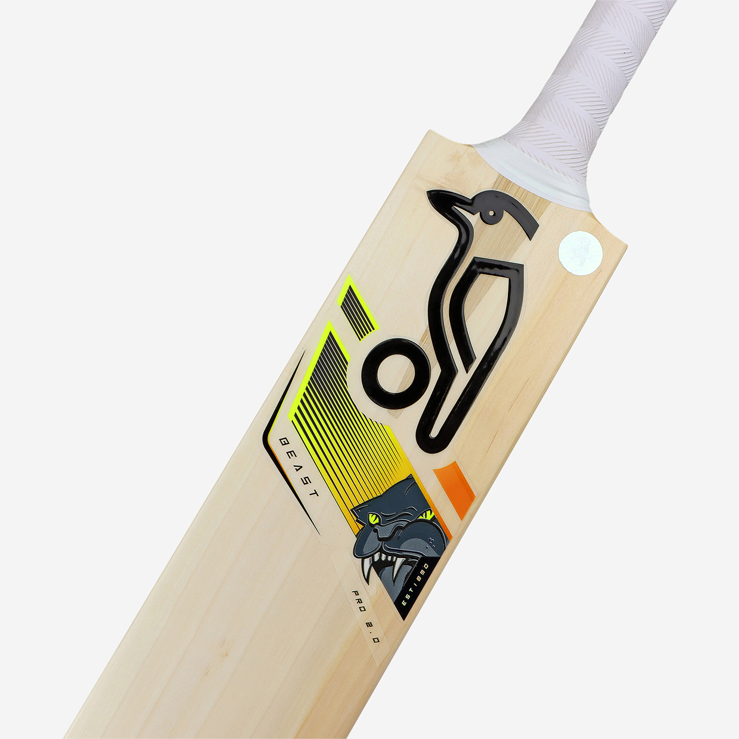 Pro 2.0 Beast Junior Cricket Bat