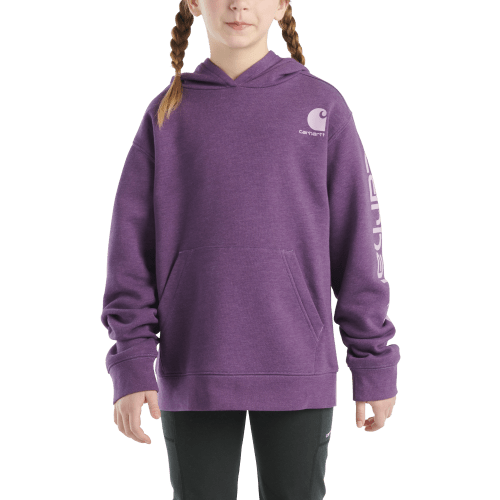 Carhartt Graphic Hooded Long-Sleeve Sweatshirt for Kids