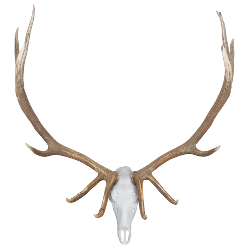 Mountain Mike's Skull Master Elk Kit