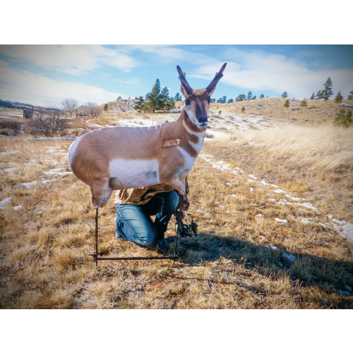 Montana Decoy Fred Eichler Antelope Decoy