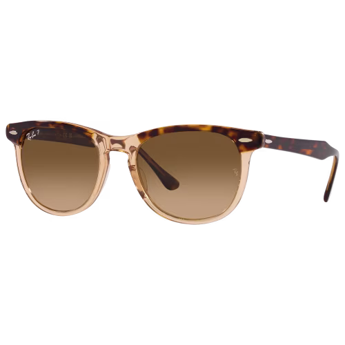 Ray-Ban Eagle Eye RB2398 Gradient Glass Polarized Sunglasses