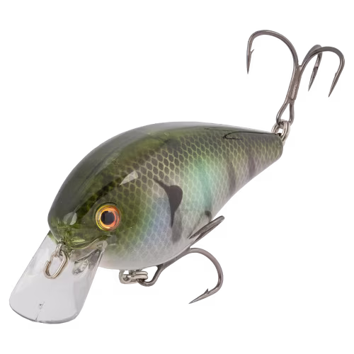 Strike King KVD Elite Squarebill Crankbait