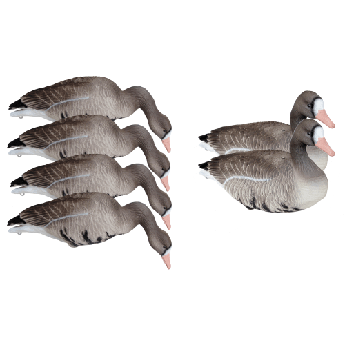 Mayhem Decoys Full-Body Specklebelly Goose Decoys