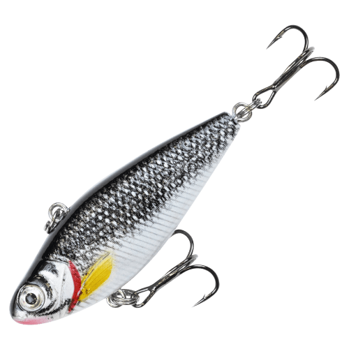 Clam Psycho Shad