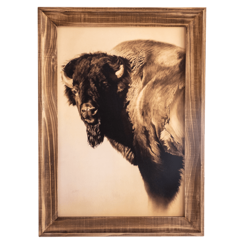 Open Road Brands Bison Framed MDF Wall Art by Cole Johnson
