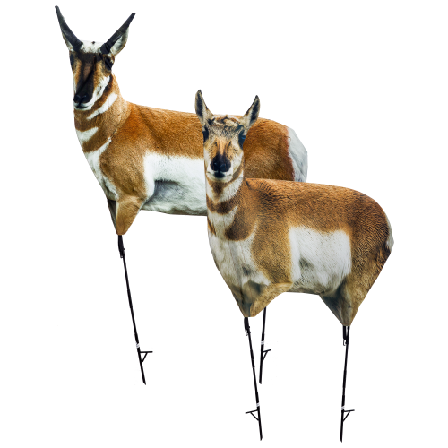 Montana Decoys Antelope Buck and Doe Combo Decoys