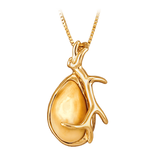 Frontier Collection Elk Ivory with 10-kt. Antler Pendant