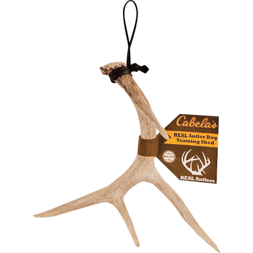 Cabela's Real Rack Shed Antler Dog Training Aid