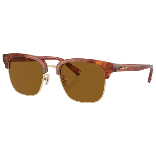 Coach HC8326 Polarized Sunglasses