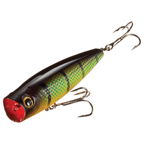 Bass Pro Shops Tourney Special Popper