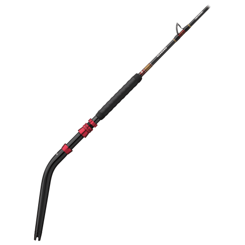 Daiwa Seaborg Dendoh Standup Rod