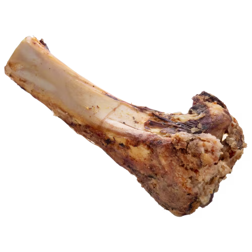 Scott Pet Grillerz Meaty Mammoth Jr. Beef Bone Dog Treat