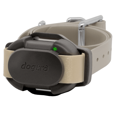 Dogtra Additional CUE E-Collar for Dogs
