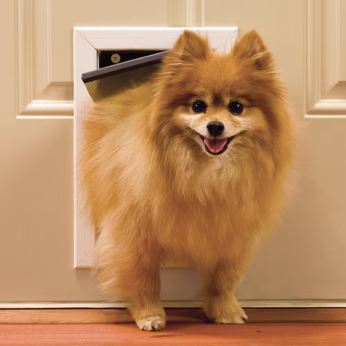 PetSafe Freedom Pet Door