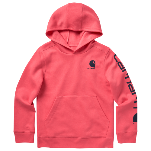 Carhartt Lightweight Graphic Long-Sleeve Hoodie for Kids