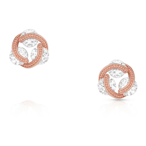 Montana Silversmiths Holding On To A Rose Dawn Earrings