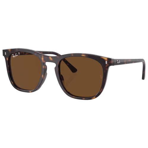 Ray-Ban RB2210 Glass Polarized Sunglasses
