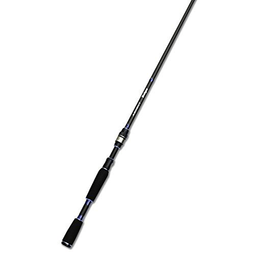 Ardent Edge Series Casting Rod