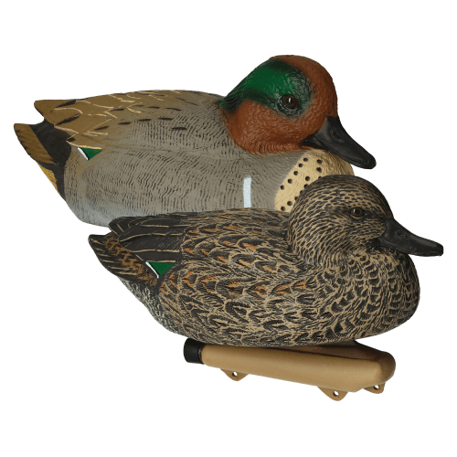 Northern Flight Green-Winged Teal Duck Decoys