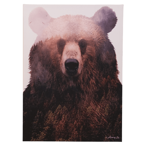 Open Road Brands Bear Canvas Wall Art by Andreas Lie