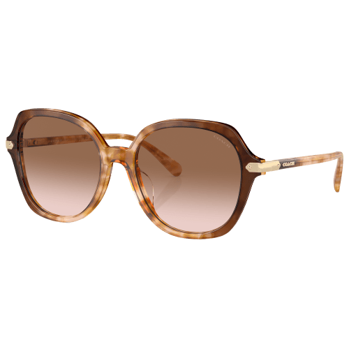 Coach HC8377U Sunglasses for Ladies