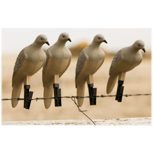 MOJO Outdoors 4 Pack Dove Decoys