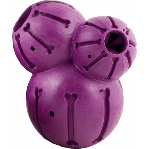 PetSafe Busy Buddy Barnacle