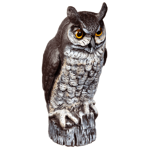 Dalen Great Horned Owl