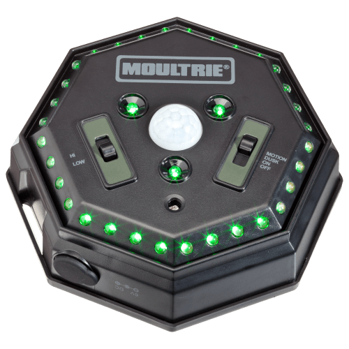 Moultrie Game Feeder Hog Light