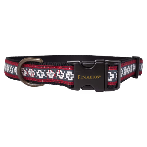 Pendleton Pet San Miguel Dog Collar