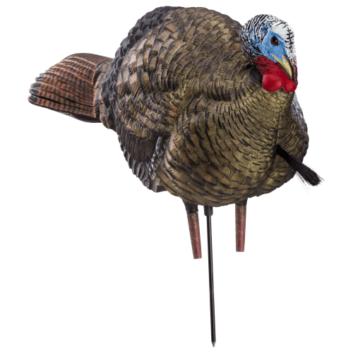 Avian-X LCD 1/2 Strut Jake Turkey Decoy