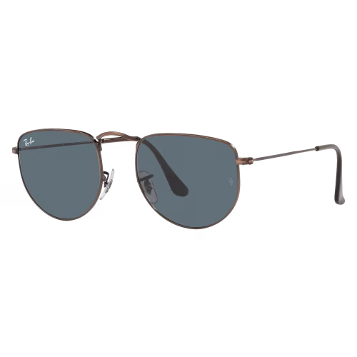 Ray-Ban Elon RB3958 Glass Sunglasses