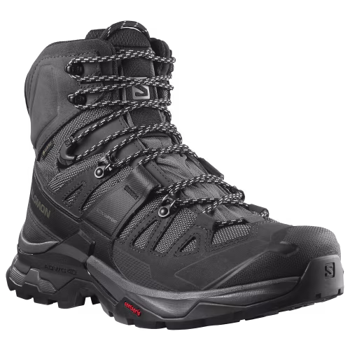 Salomon Quest 4D Mid GTX 4 Hiking Boots for Men